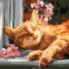 Painting by numbers - Red cat on the windowsill ©art_selena_ua