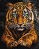 Painting by numbers - Wild tiger ©art_selena_ua