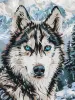 Painting by numbers - Eyes of the North ©art_selena_ua