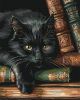 Картина по номерам - Спокойствие в тишине с красками металлик extra ©art_selena_ua