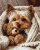 Painting by numbers - Yorkie with Teddy Bear ©art_selena_ua