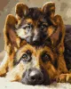 Картина по номерам - Вместе всегда ©art_selena_ua