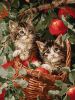 Painting by numbers - Cats in a basket ©art_selena_ua