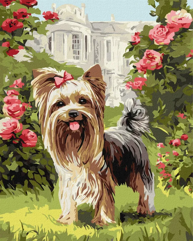 Painting by numbers - York in the garden ©art_selena_ua