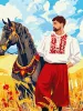 Картина за номерами - Козак у полі ©art_selena_ua