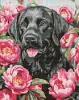 Diamond mosaic - A dog in peonies ©art_selena_ua