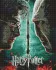 Алмазна мозаїка - Harry Potter: Гаррі та Волдеморт ©Warner Bros.