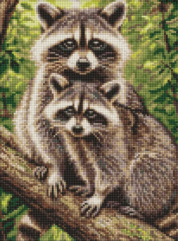 Алмазна мозаїка - Портрет єнотів ©art_selena_ua