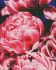 Diamond mosaic - Velvet peonies