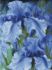 Diamond mosaic - Blue irises ©Julia Tomesko