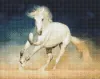 Алмазна мозаїка - Біла грація
