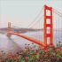 Diamond mosaic - Morning San Francisco
