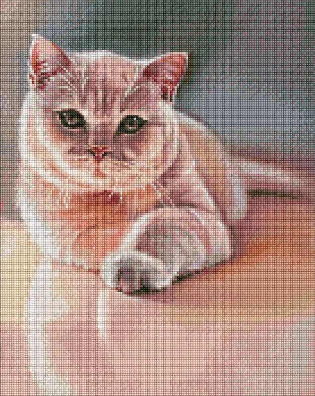 Алмазна мозаїка - Улюблений пухнастик ©Юлія Томеско