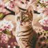 Diamond mosaic without frame - Kitten in the garden ©art_selena_ua