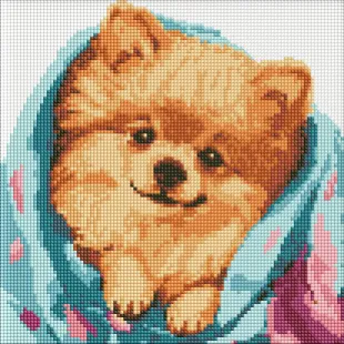 Алмазна мозаїка - Щасливий шпіц ©art_selena_ua