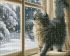 Diamond mosaic - Snowfall outside the window with hologram rhinestones (AB) ©art_selena_ua