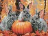 Diamond mosaic - Rabbit adventures ©art_selena_ua