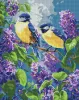 Алмазна мозаїка - Весняний дует ©art_selena_ua