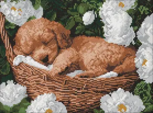 Алмазная мозаика - Спящий пудель ©art_selena_ua