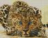Diamond Mosaic - The leopard hid