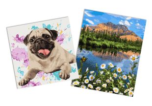 Sets of paintings - "The mountain landscape " & "Favorite pug"