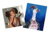 Sets of paintings - "A goose in vyshyvanka" & "Golden butterflies"