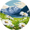 Painting by numbers - Delicate daisies ©art_selena_ua