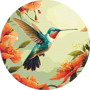 Картина по номерам - Красочная колибри ©art_selena_ua