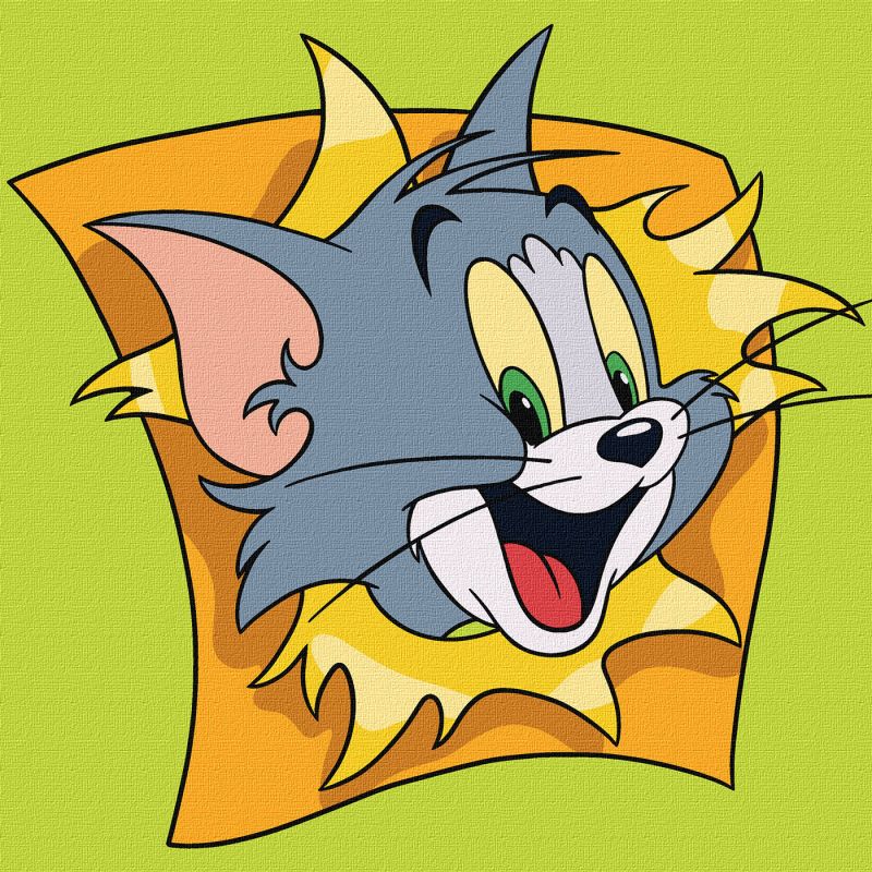 Картина по номерам - Tom and Jerry: Весёлые приключения ©Warner Bros.