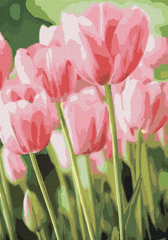 Painting by numbers - Spring tulips 