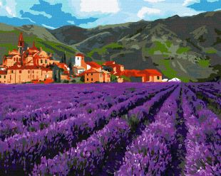 Painting by numbers - Mountain lavender 