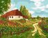 Картина за номерами - Українськими стежками