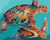Painting by numbers - Turtles 