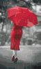 Painting by numbers - Red umbrella 