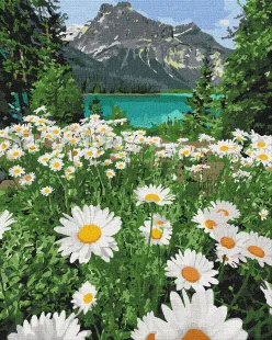 Painting by numbers - The beauty of nature 