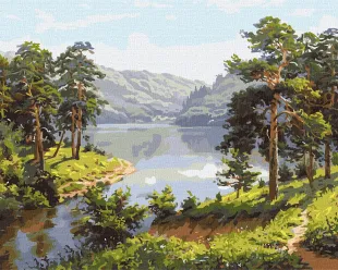 Картина за номерами - Чаруючий ліс