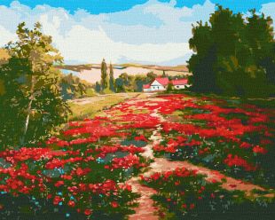 Painting by numbers - Poppy field ©Oleksandr Zakusilov