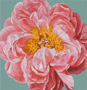 Картина за номерами - Pink kiss ©Ira Volkova