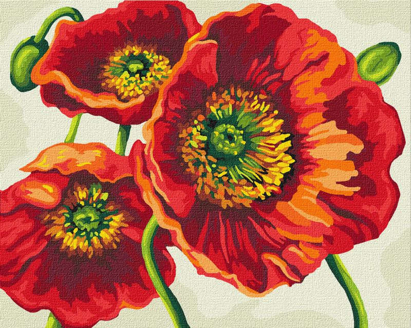Painting by numbers - Bright poppies