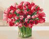 Painting by numbers - Passionate tulips 
