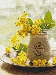 Картина за номерами - Ніжність мімози