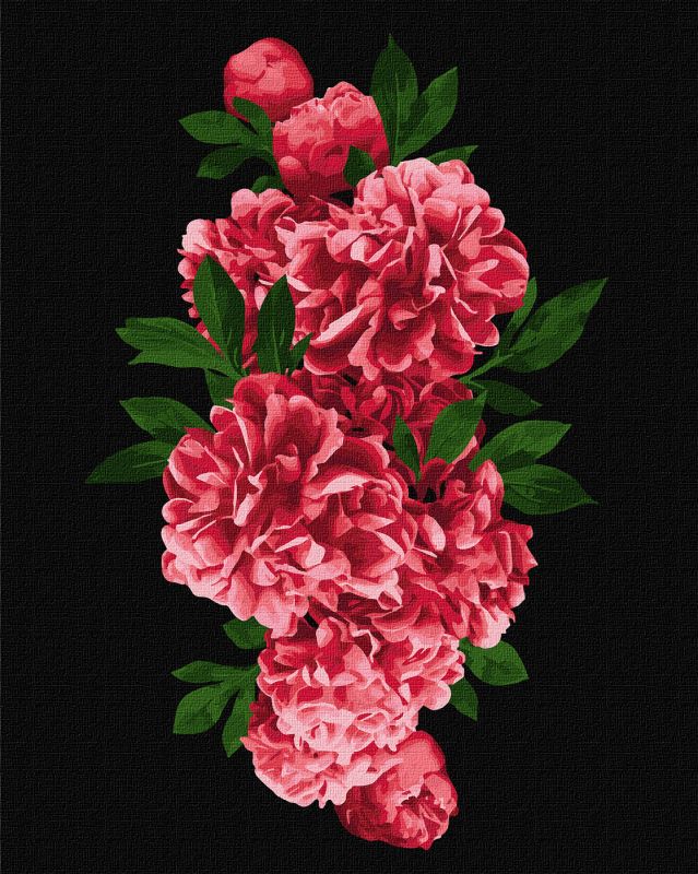 Painting by numbers - Passionate peonies 