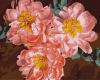 Painting by numbers - Peony inspiration ©Ira Volkova