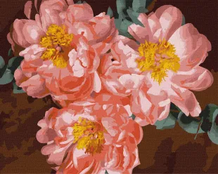 Картина за номерами - Піонове натхнення ©Ira Volkova