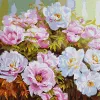 Painting by numbers - Variety of peonies ©Ira Volkova
