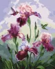 Painting by numbers - Song of summer ©annasteshka