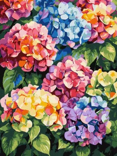 Картина за номерами - Різнокольорові гортензії ©art_selena_ua