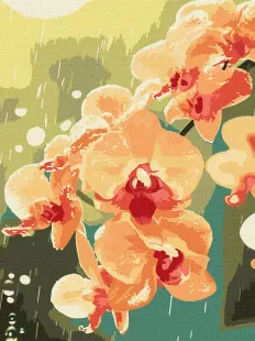 Картина за номерами - Орхідея в краплях ©art_selena_ua