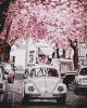 Картина по номерам - Volkswagen Beetle