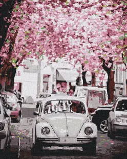 Картина за номерами - Volkswagen Вeetle